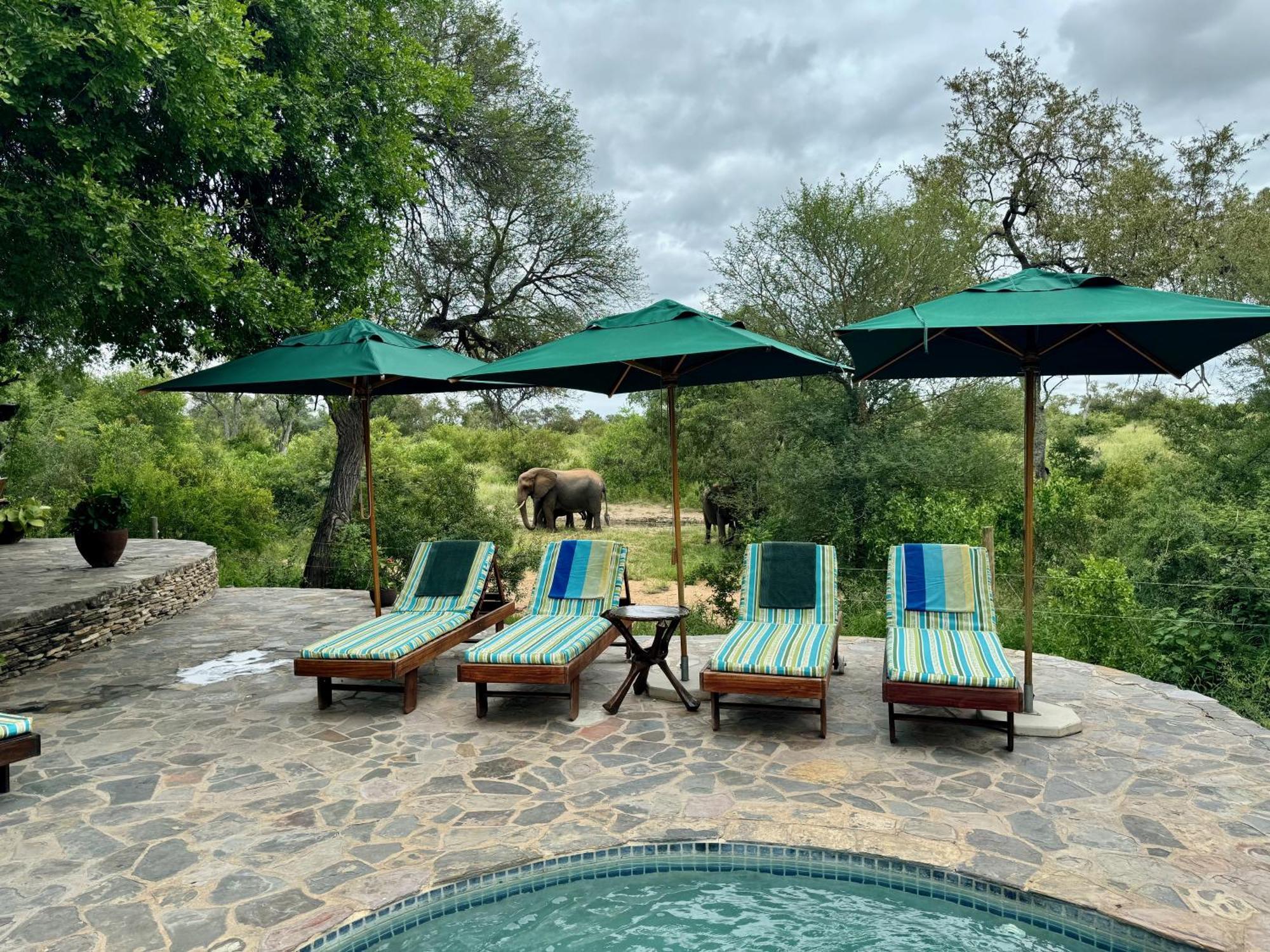 Ku Sungula Safari Lodge Balule Game Reserve Exterior photo